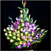 Floral Majesty - Click here to View more details about this Product